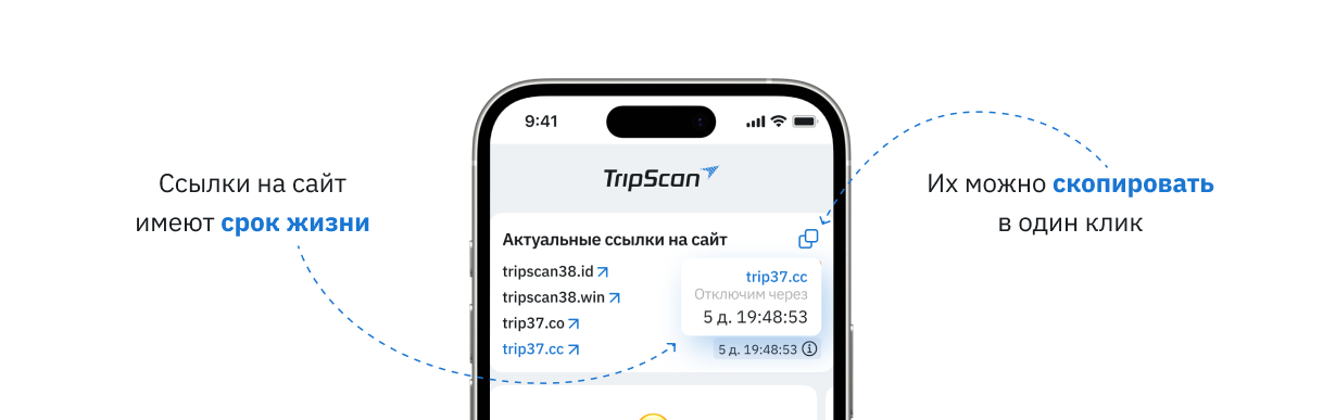 Сайт Трипскан на мобильном устройстве